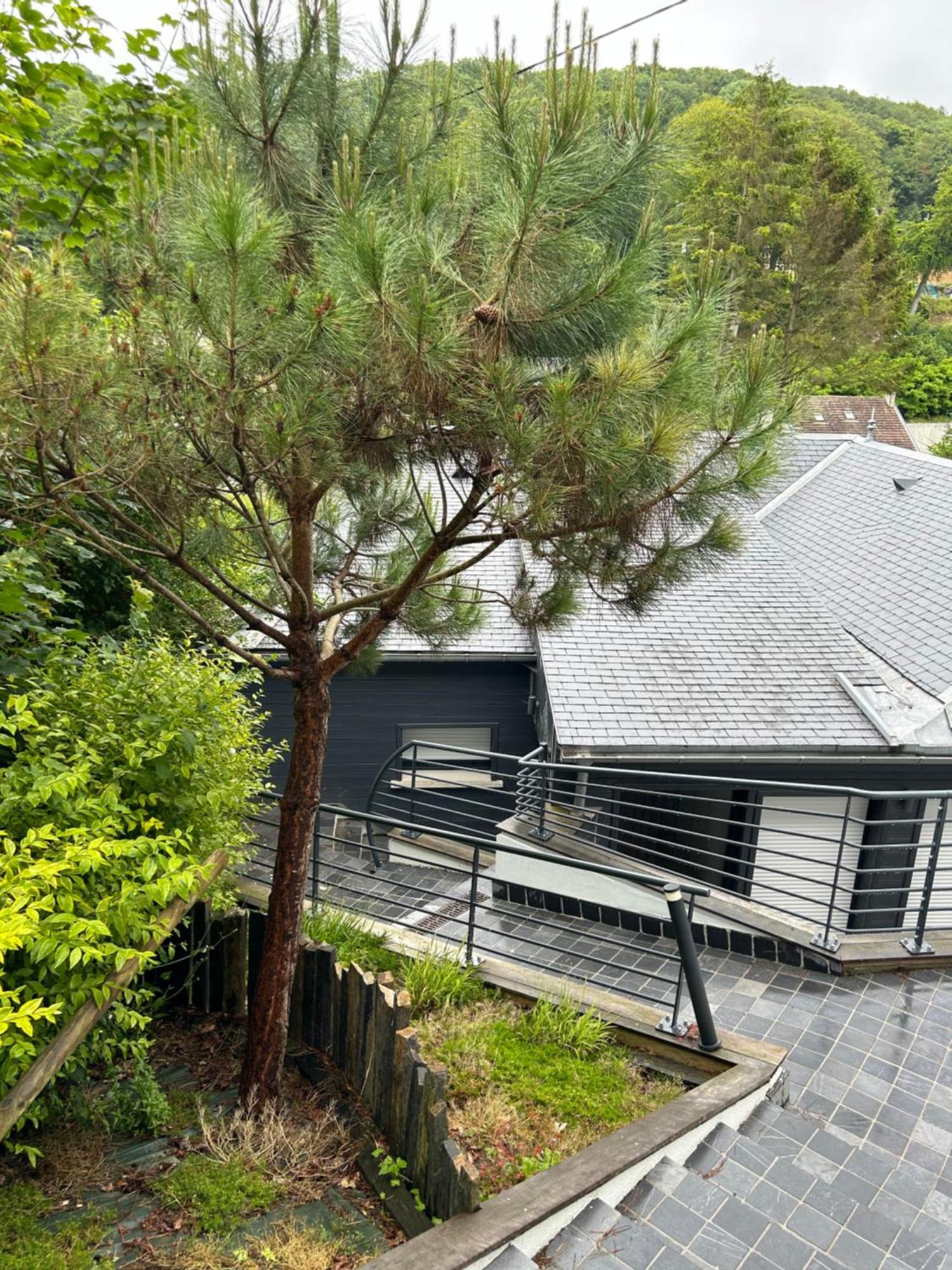 Villa Des Chardons Yport Exteriör bild